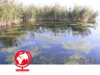 “Ağgöl” Milli Parkı məmurların ov poliqonuna çevrilib