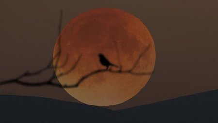 Sabah XXI əsrin ən uzun "Qanlı Ay" tutulması hadisəsi baş verəcək