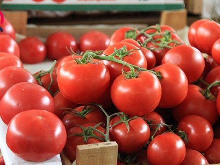 Soğan ucuzlaşdı, pomidor bahalaşdı - İranda