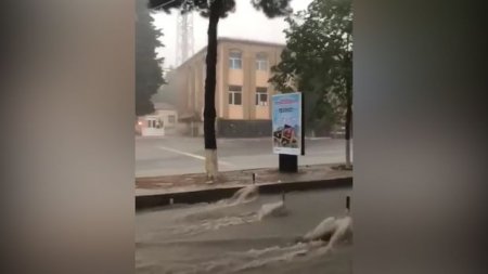 Güclü yağış Şəkidə fəsadlar törətdi - VİDEO