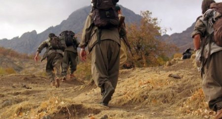 Qarabağda PKK/YPG terrorçuları məhv edilir