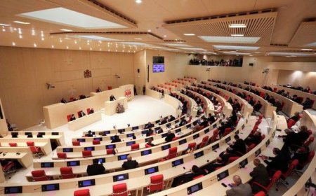 Gürcüstan parlamentinin azərbaycanlı deputatlarının sayı artıb
