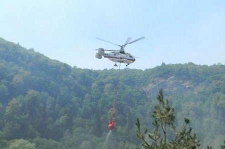Lerikdə dağlıq ərazidə yanğın: Söndürülməsi üçün helikopter cəlb olunub